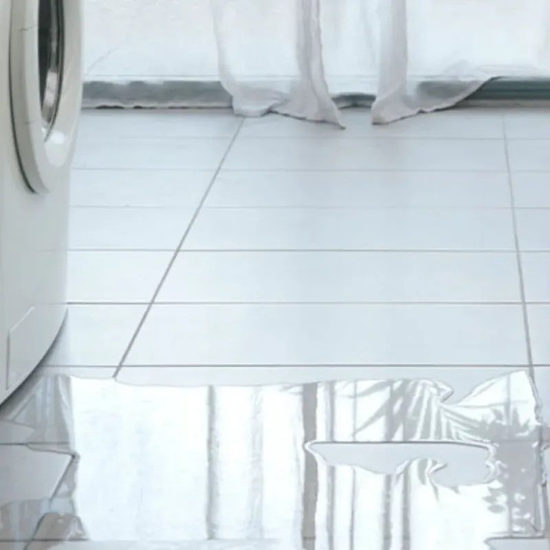 Appliance Leak Cleanup in Woodburn, OR
