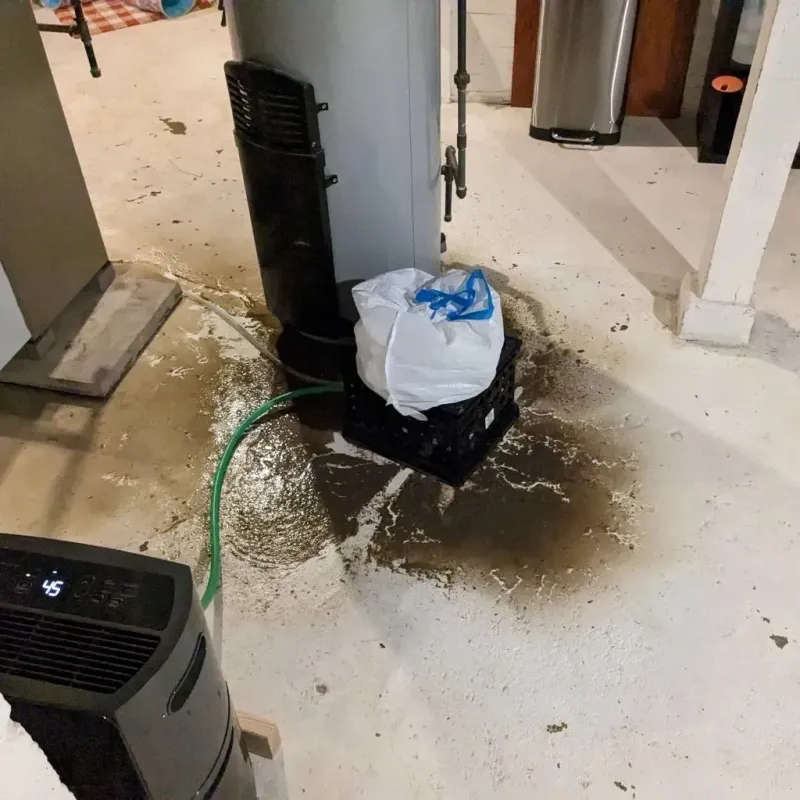 Sewage Backup Cleanup Service in Woodburn, OR